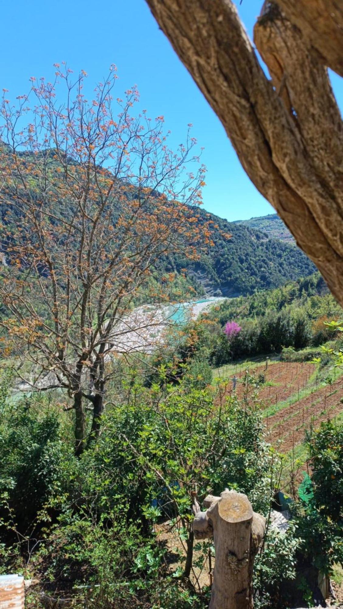 Ktimata Evdoxia Villa Platanoussa Bagian luar foto